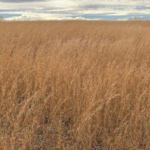 Meet your Posher, Hillary